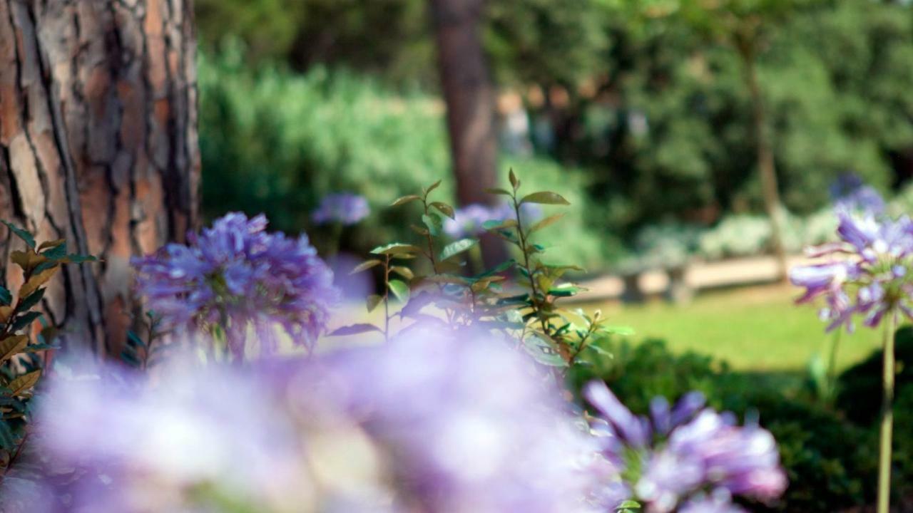 Les Pins De L'Escalet Daire Ramatuelle Dış mekan fotoğraf